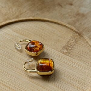 Amber Stone Hook Earrings